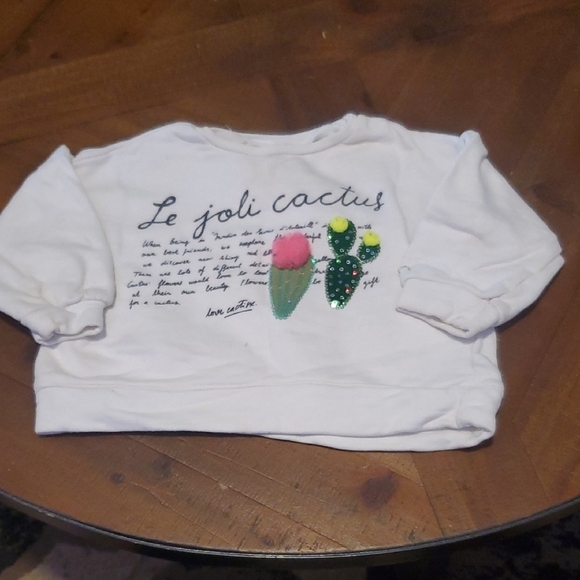 Zara Other - 🐻 Zara Kids White Sweatshirt with Cactus Design
